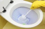 cleaning_toilet