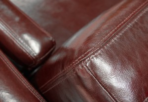 cleaning leather sofa conditioning