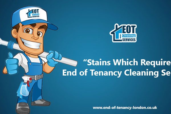 Stains Which Require Professional Cleaning Service