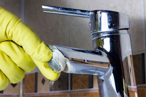 Person cleaning tap for limescale