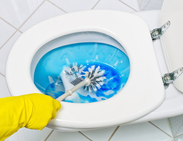 Removing Limescale - Toilet Bowl Cleaning